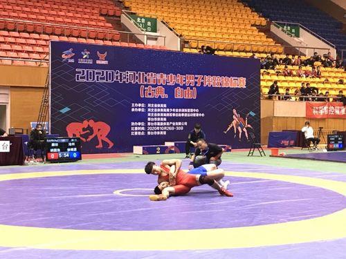 邢台成人摔跤事件视频播放,一场意外引发的争议与反思