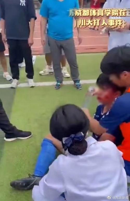 邢台成人摔跤事件视频播放,一场意外引发的争议与反思