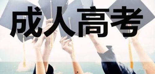 小雪成人高考视频,揭秘高效备考策略与技巧