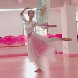 成人芭蕾舞舞蹈视频,成人舞者的优雅蜕变之旅