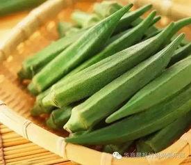 午夜成人秋葵视频,揭秘成人视频中的神秘世界