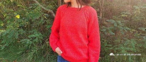 成人女款针织教程视频大全,轻松掌握时尚编织技巧