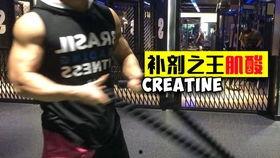 成人马甲勾针视频教学,跟随视频教程，打造个性时尚单品