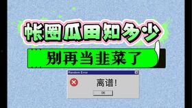 成人生日手帐教程视频,手帐达人教你轻松制作成人生日手帐