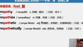 学拼音搞笑视频成人,揭秘人生百态，笑对人生挑战