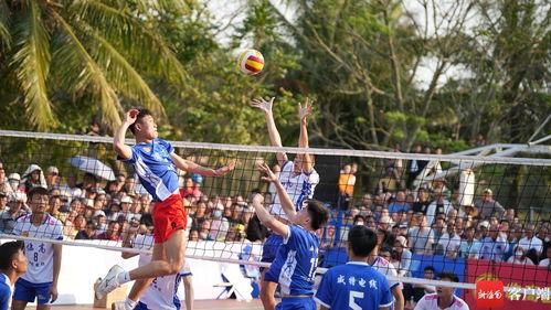 黄石成人排球比赛视频,激情碰撞，热血沸腾
