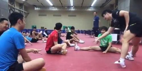 鹤壁成人摔跤比赛视频,激情四溢的较量瞬间