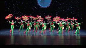 简单伞舞成人教学视频