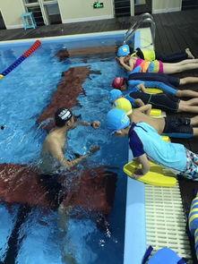 成人学游泳课视频大全,成人学游泳课视频大全精选解析