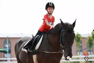 小孩骑马成人礼视频,一场见证成长的成人礼之旅