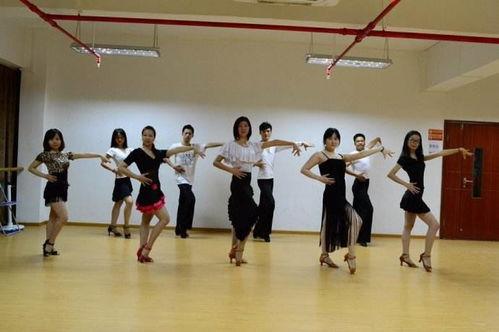 成人舞蹈小蓓蕾组合视频,舞动青春，绽放魅力